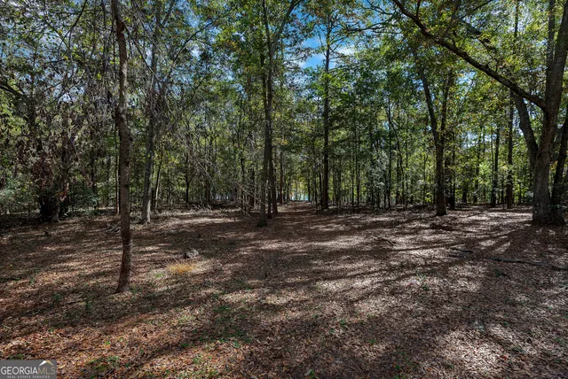 $775,000 | 1009 White Pine Lane, Townville, SC 29689