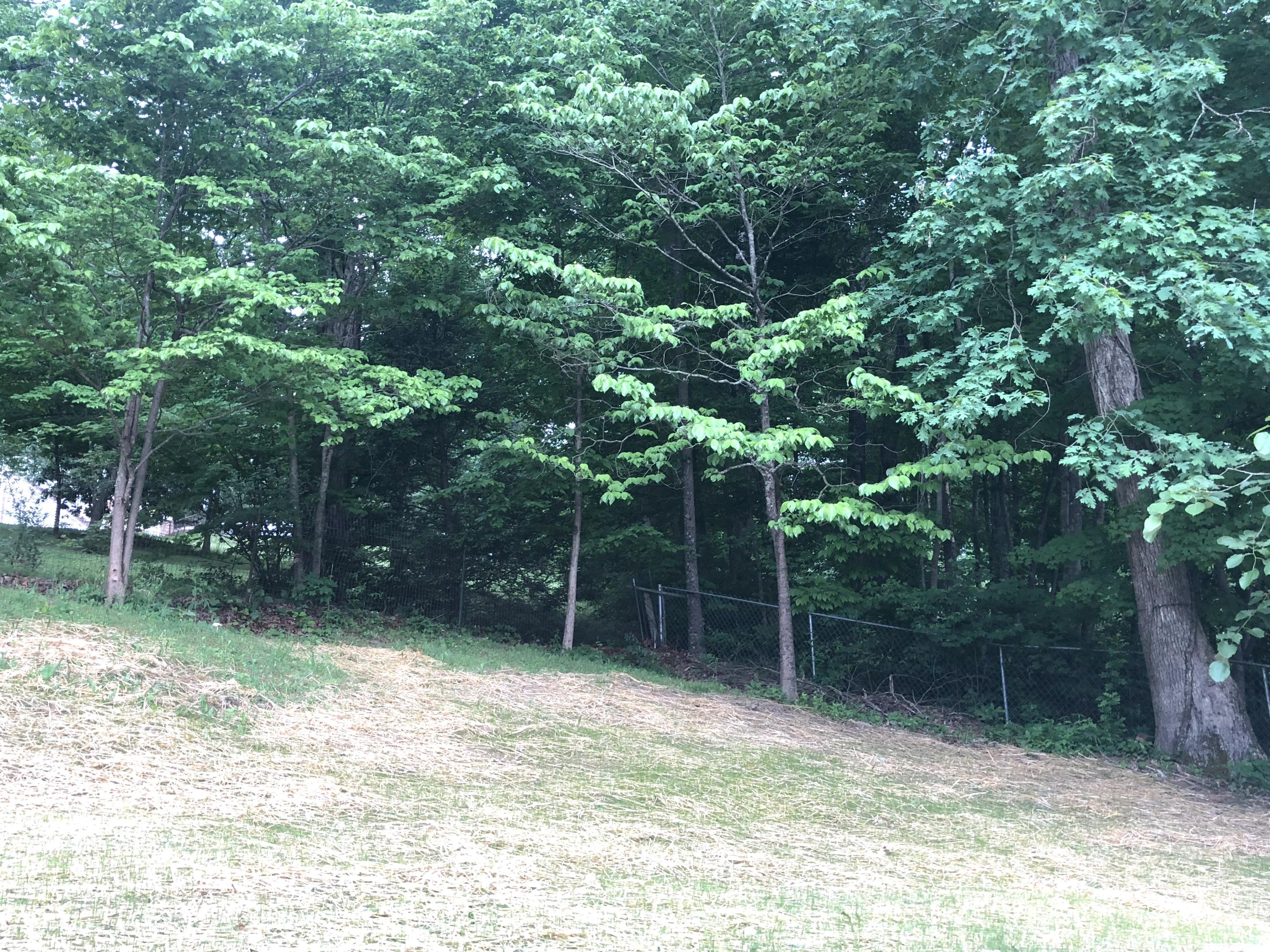 127 McDeerman Road Jacksboro, TN 37757 - Photo 28 of 29 Yard