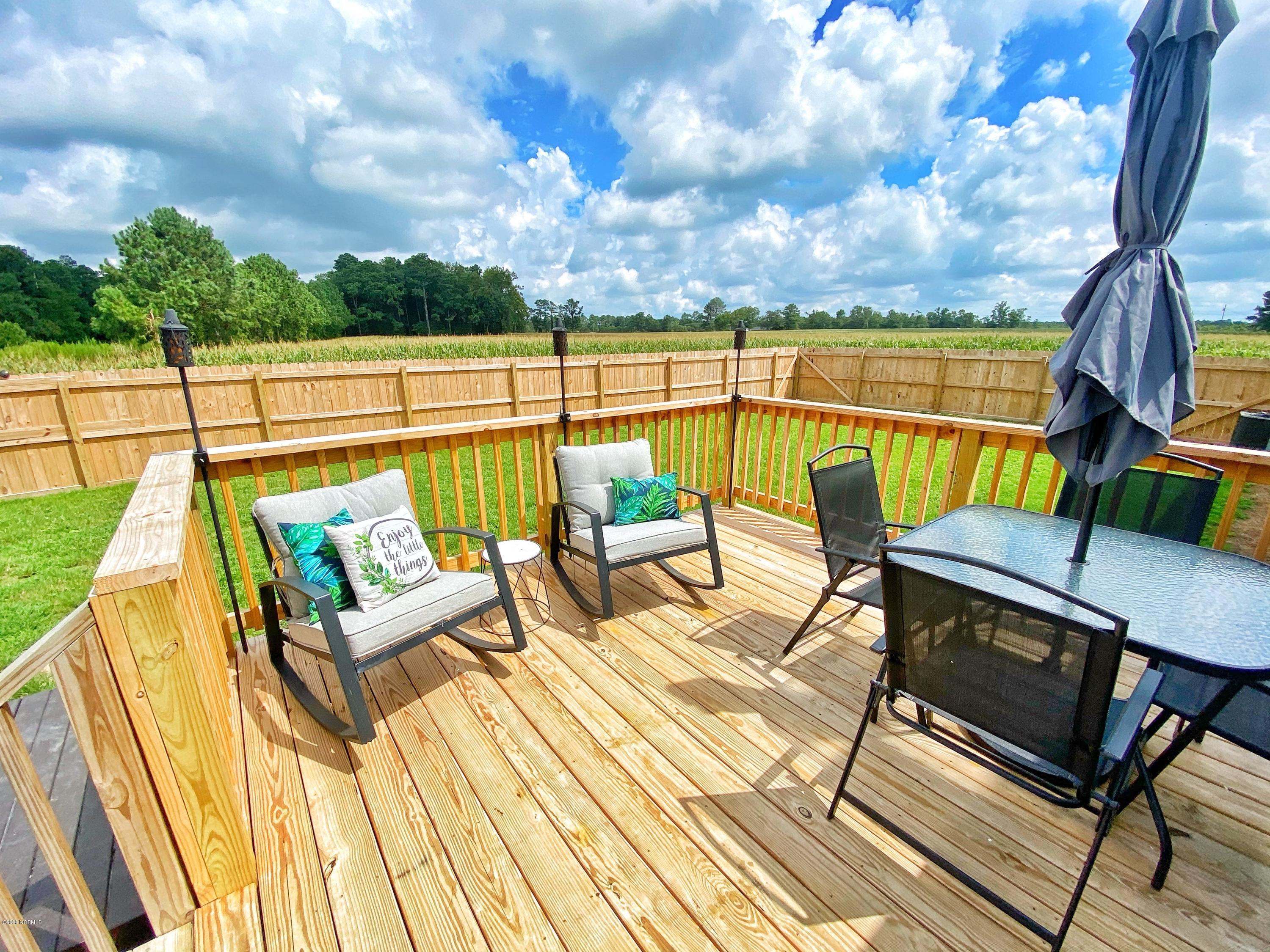 1229 Quinn Store Road Beulaville, NC 28518 - Photo 3 of 43 Backdeck(1)