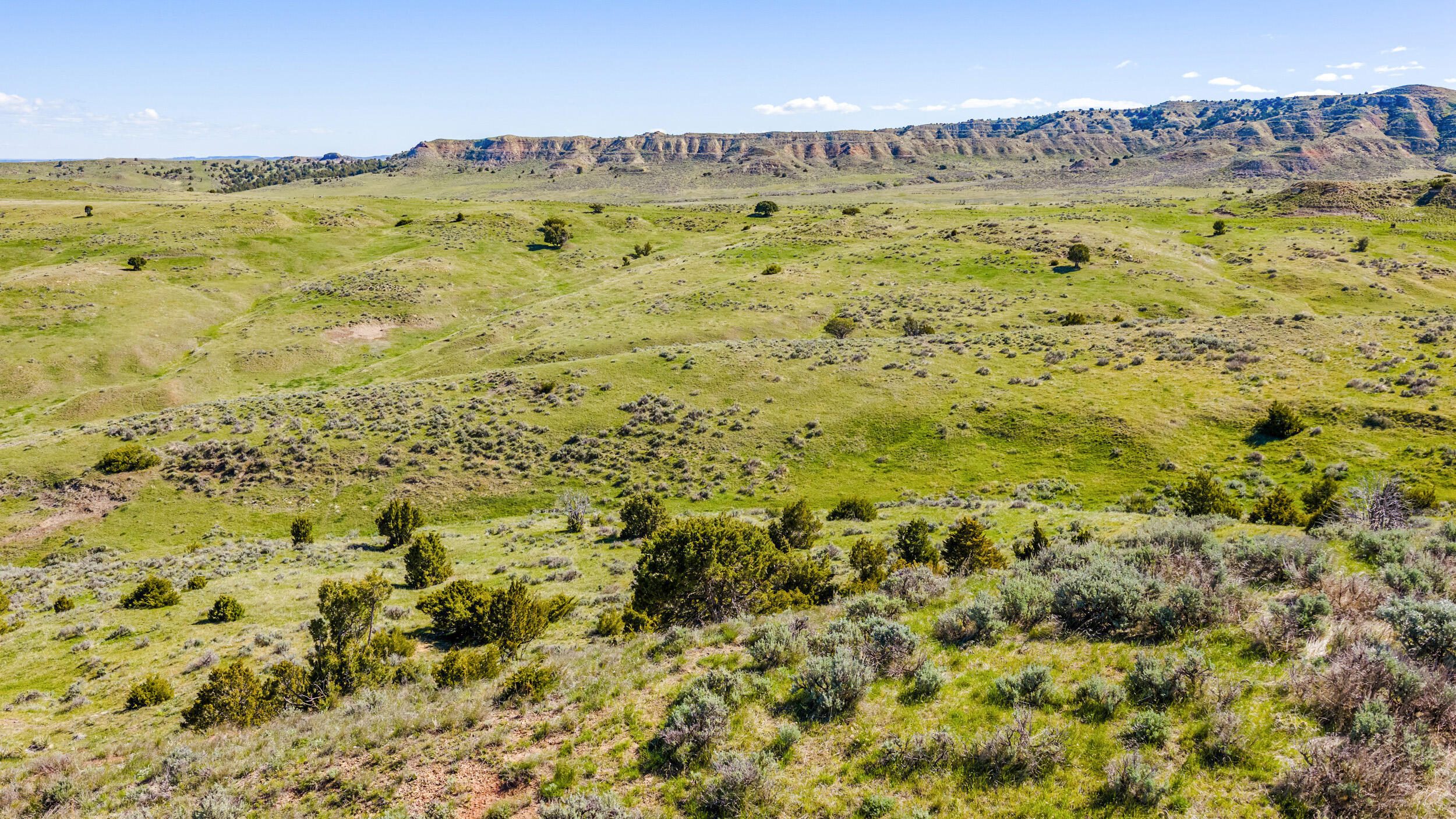 593 Lower Prairie Dog Road Sheridan, WY 82801 - Photo 61 of 142 593 lower praire dog 05