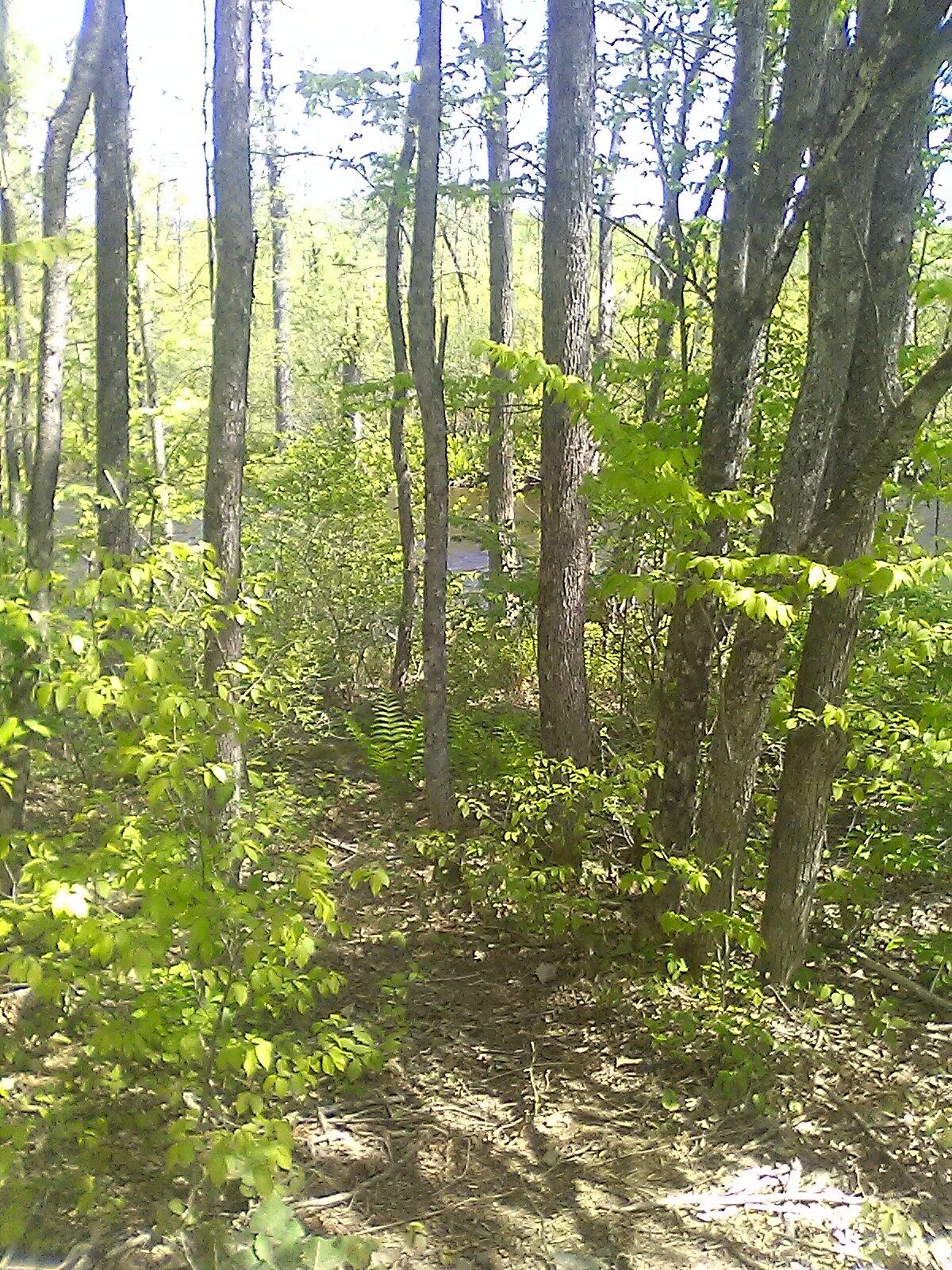 55 Martin Stream Road Newport, ME 04953 - Photo 29 of 40 6169
