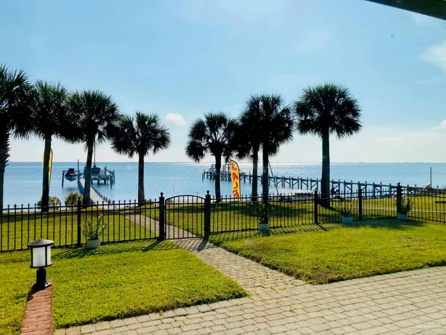 a view of a park with palm trees