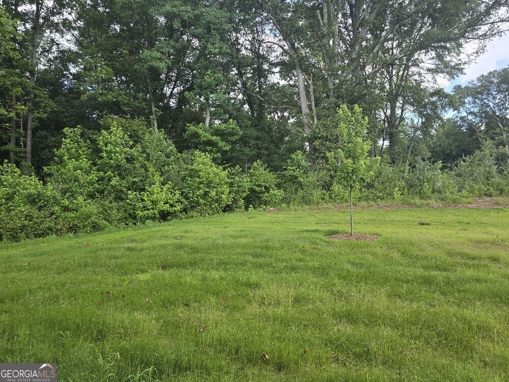 3405 Ripple Loop, Unit 127 Atlanta, GA 30349 - Photo 25 of 26 a view of a field with a tree