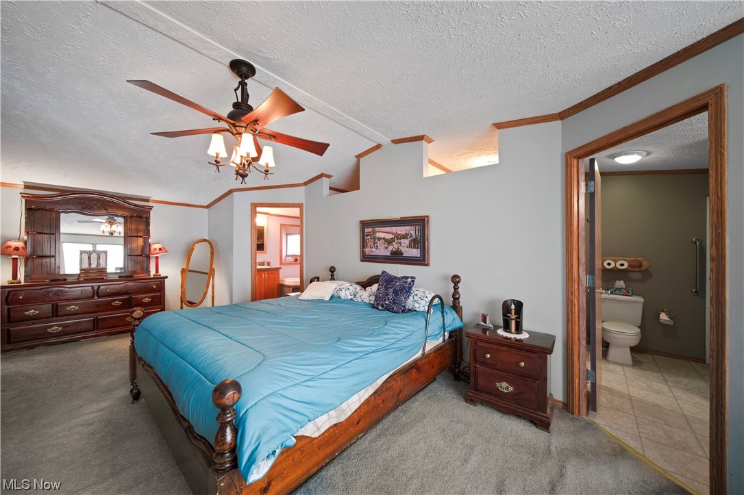 4951 Lane Road Perry, OH 44081 - Photo 13 of 31 Tiled bedroom featuring ensuite bath, vaulted ceiling, a textured ceiling, and ceiling fan