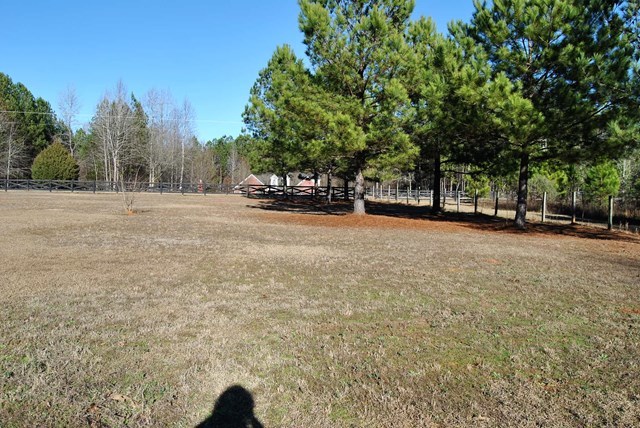 1399 Edge Road Forsyth, GA 31029 - Photo 27 of 31 a view of a field with trees in front of it