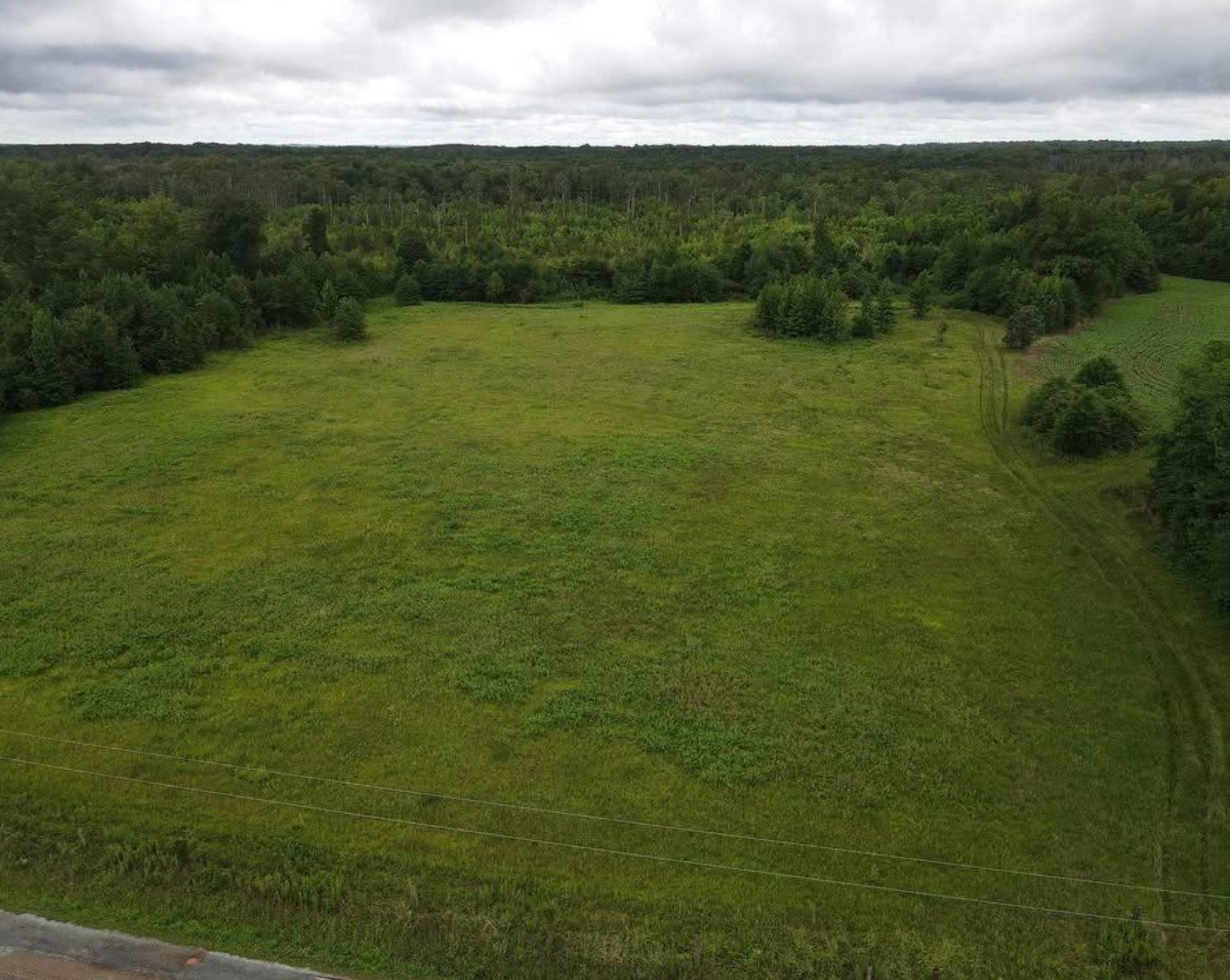 0 Pea Vine Road Middleton, TN 38052 - Photo 2 of 8