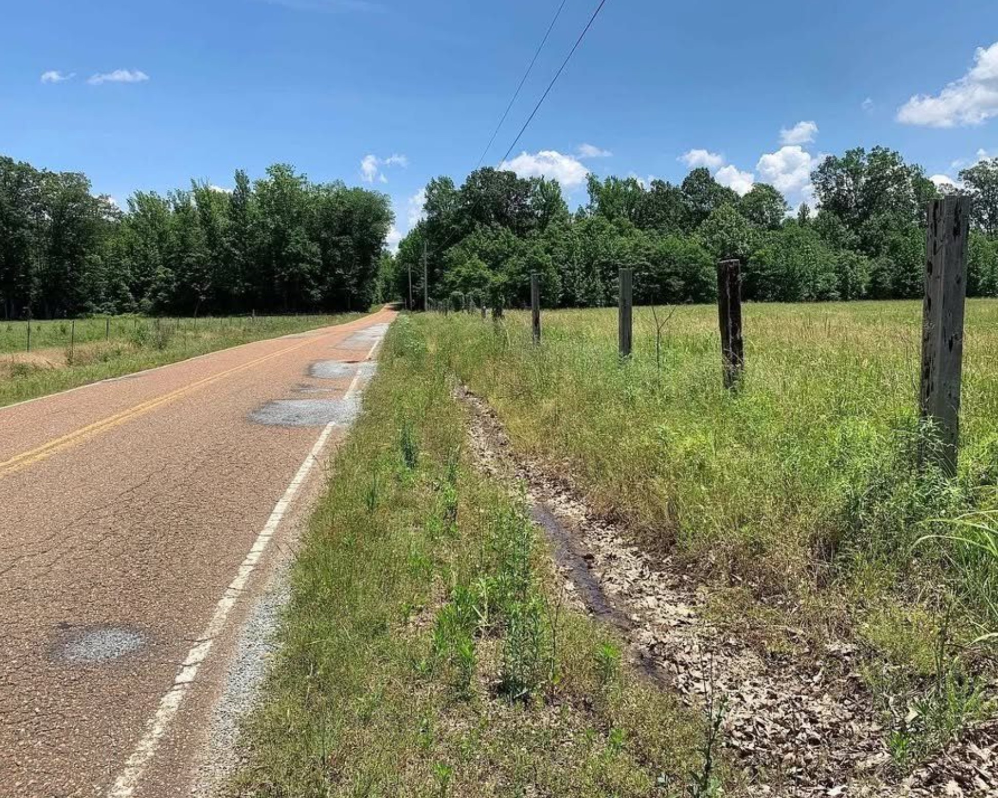 0 Pea Vine Road Middleton, TN 38052 - Photo 3 of 8