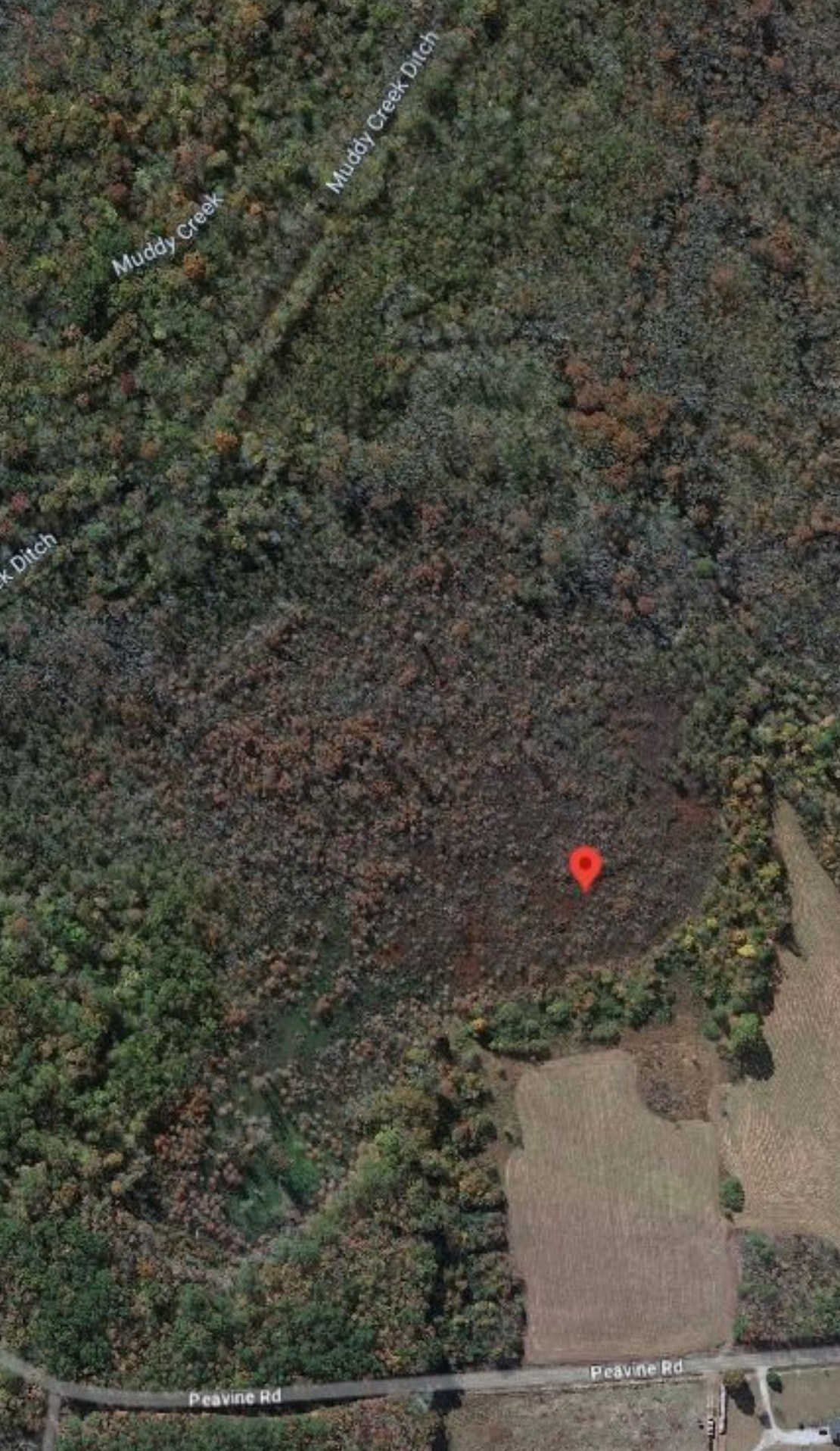 0 Pea Vine Road Middleton, TN 38052 - Photo 7 of 8
