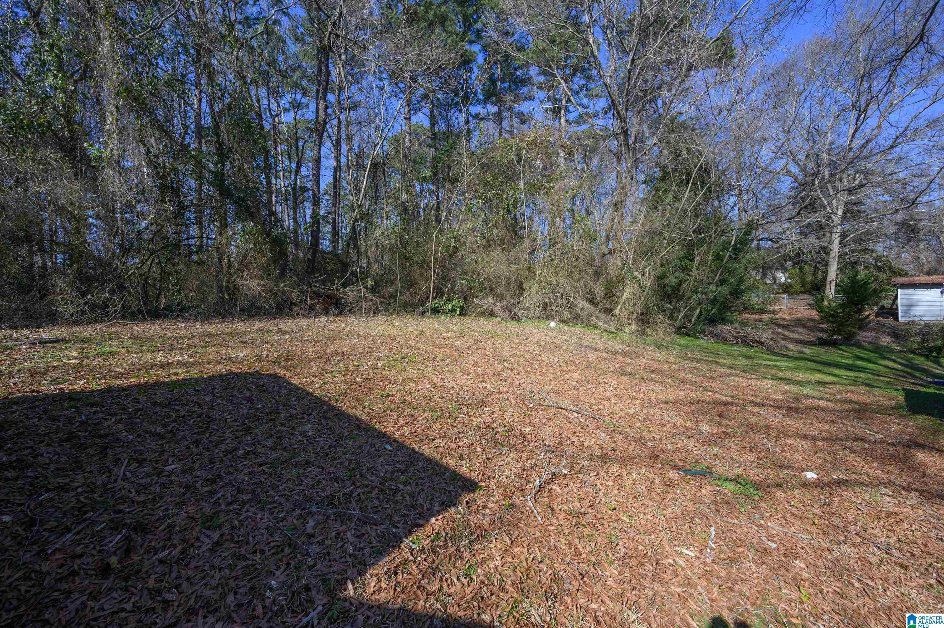 5221 Edgewood Road Adamsville, AL 35005 - Photo 47 of 51