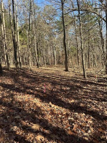 2 Northwest Lower River Road Charleston, TN 37310 - Photo 2 of 5 Gallery Image 2