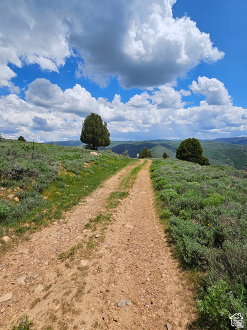 3378 North Oak Cyn Road, Unit 526 Huntsville, UT 84317 - Photo 11 of 24 View of dirt / gravel road with a view of rural / pastoral area and agricultural area