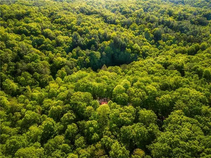 a backyard of a house with lots of green space and fountain