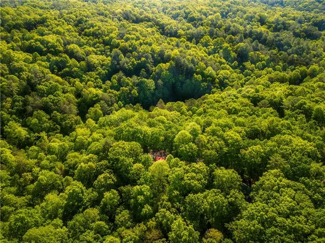 a backyard of a house with lots of green space and fountain