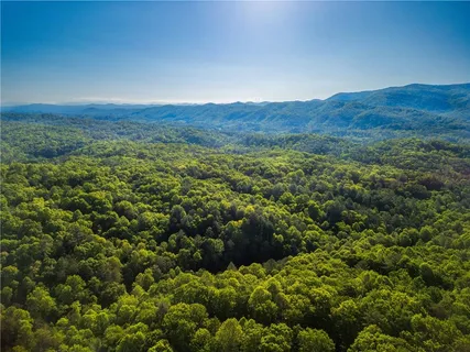 a living room with furniture a fireplace and a floor to ceiling window