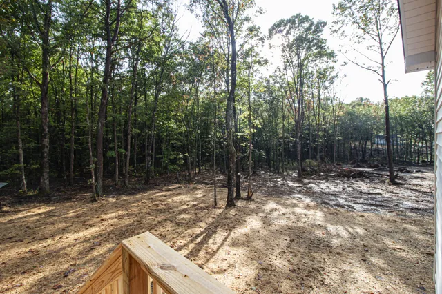a backyard of a house with lots of green space
