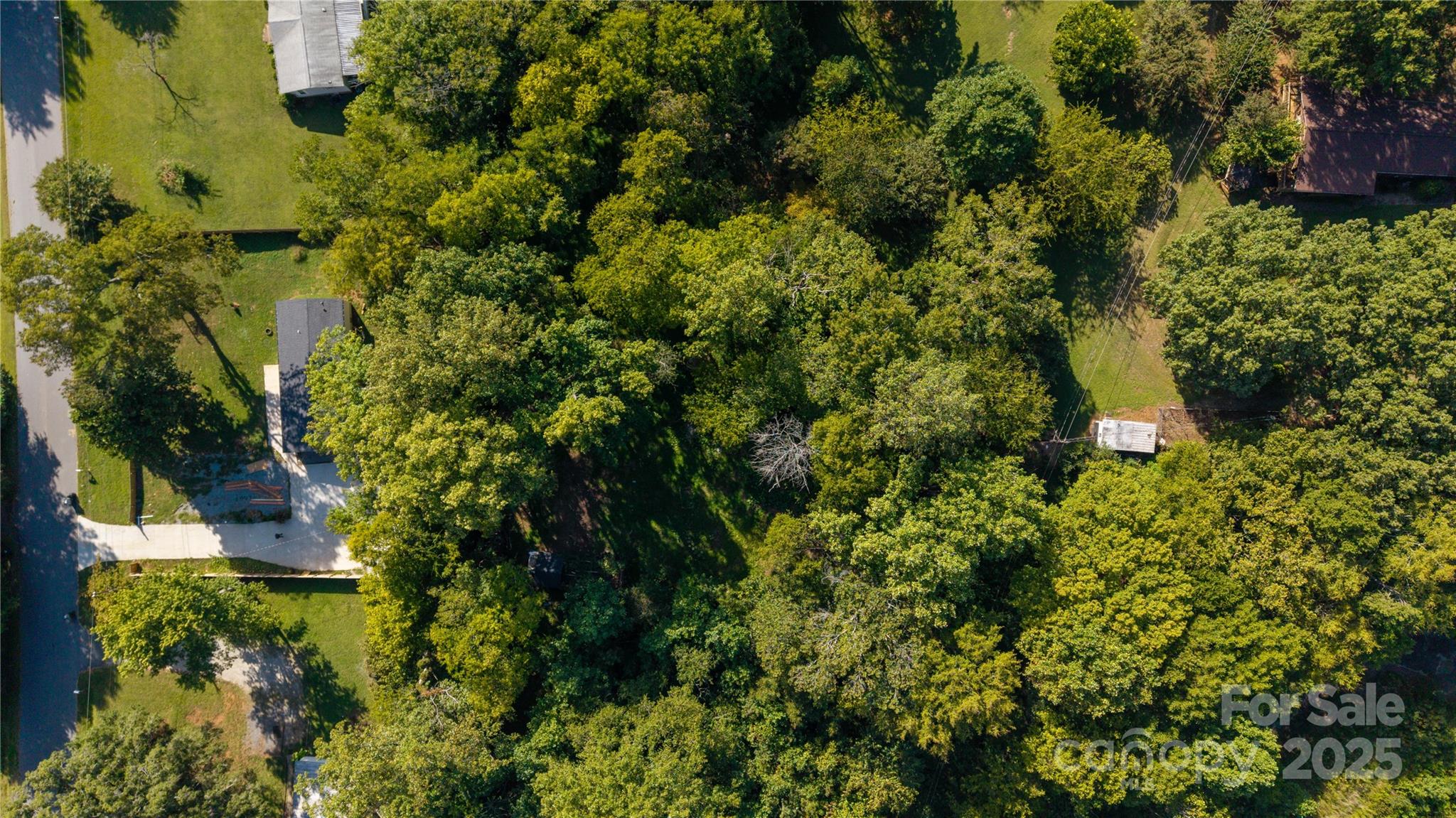 4946 Grand Canyon Road Northwest Concord, NC 28027 - Photo 20 of 40 a plant view