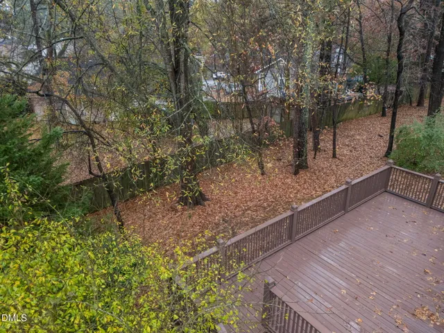 a view of a yard with plants and trees