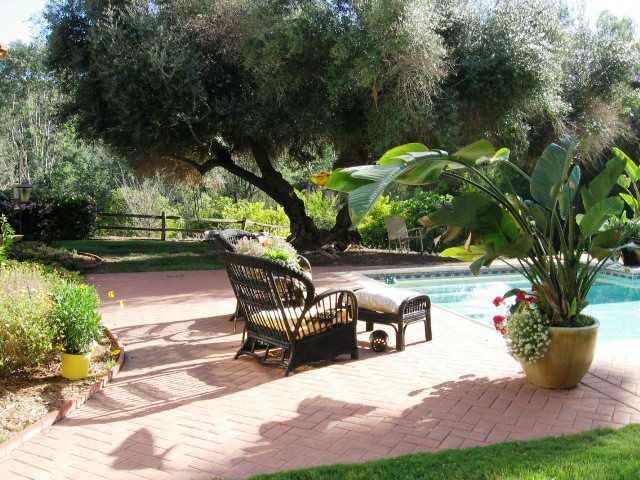 2832 Live Oak Park Road Fallbrook, CA 92028 - Photo 2 of 25 Relax by the pool.