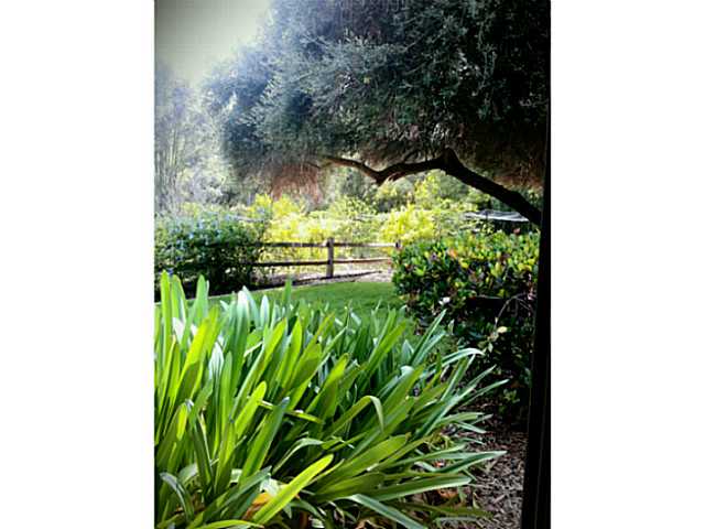 2832 Live Oak Park Road Fallbrook, CA 92028 - Photo 13 of 25 Beautiful Property and Orchard on 1 acre fully landscaped!