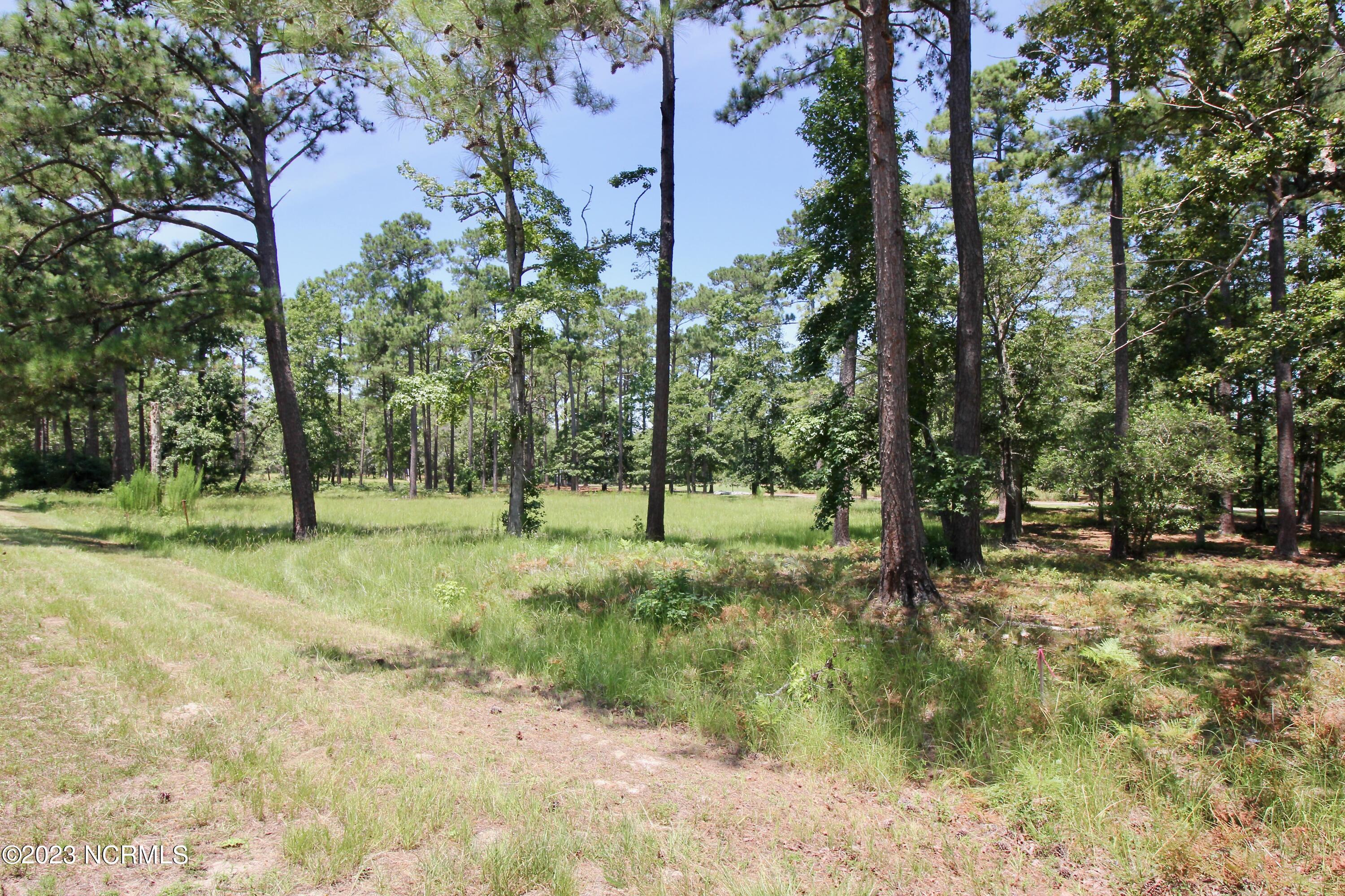 1013 Copas Road Southwest Shallotte, NC 28470 - Photo 3 of 16 Road Side Right