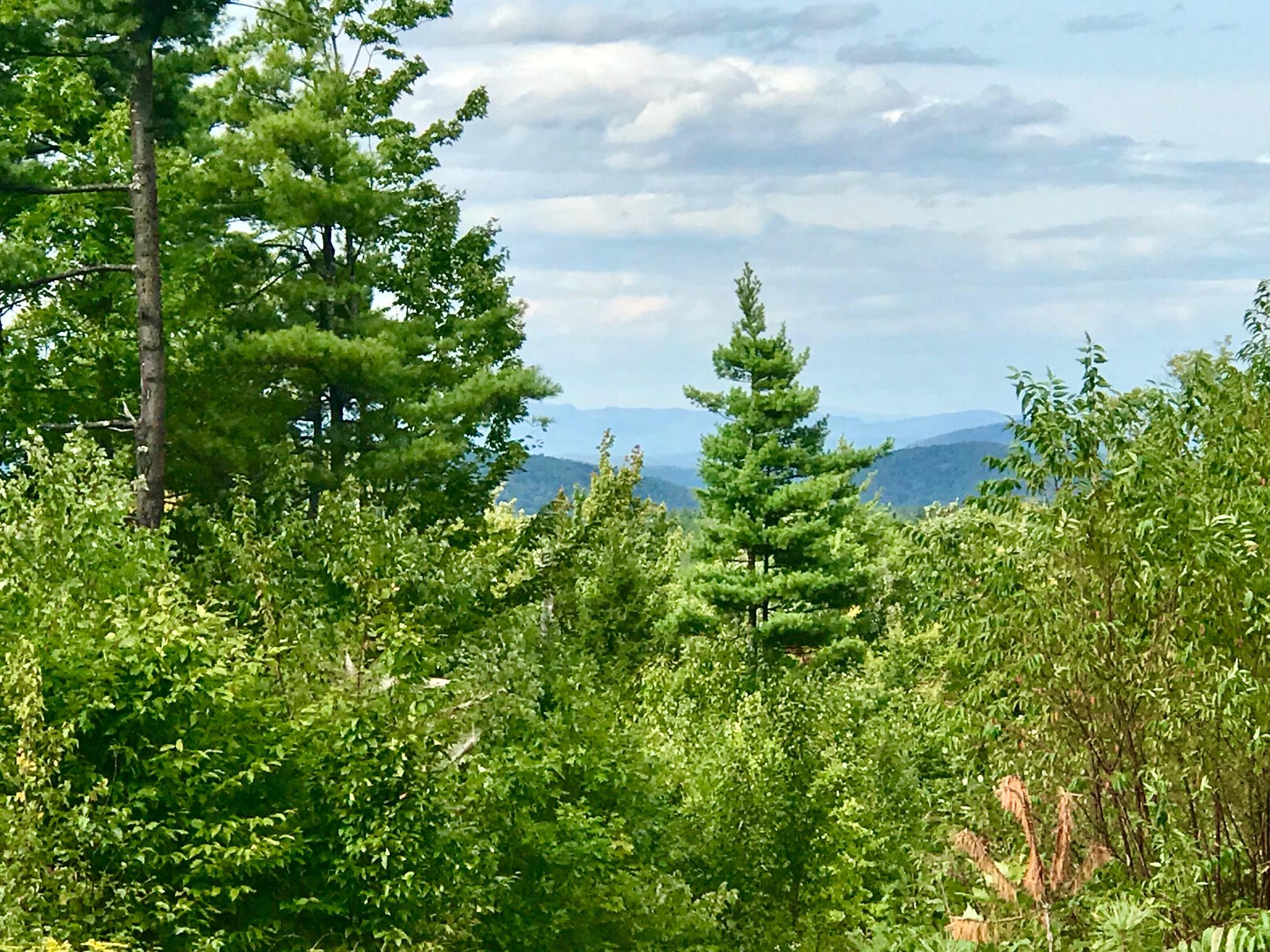 0 Kennard Hill Road Porter, ME 04068 - Photo 2 of 10 IMG_1628