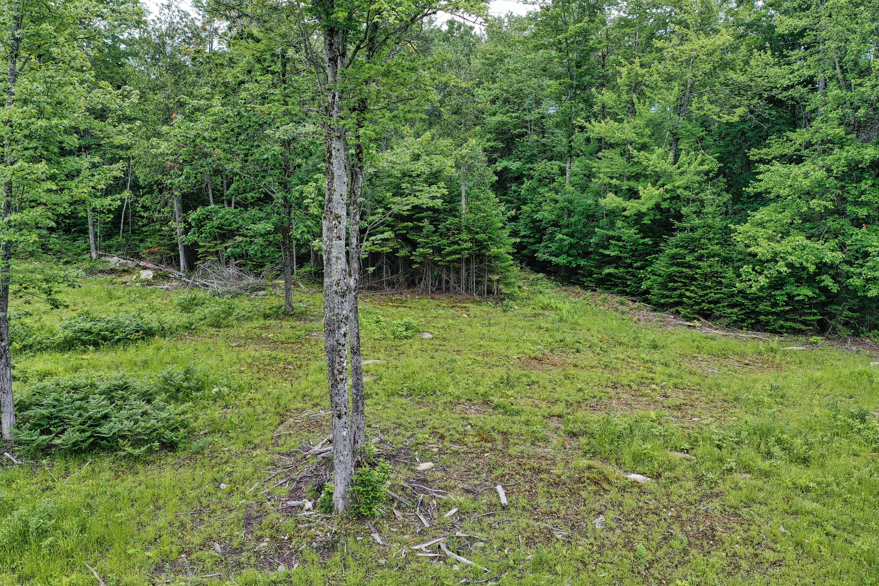 Lot 12 South Road Dixmont, ME 04932 - Photo 29 of 34 Aerial View