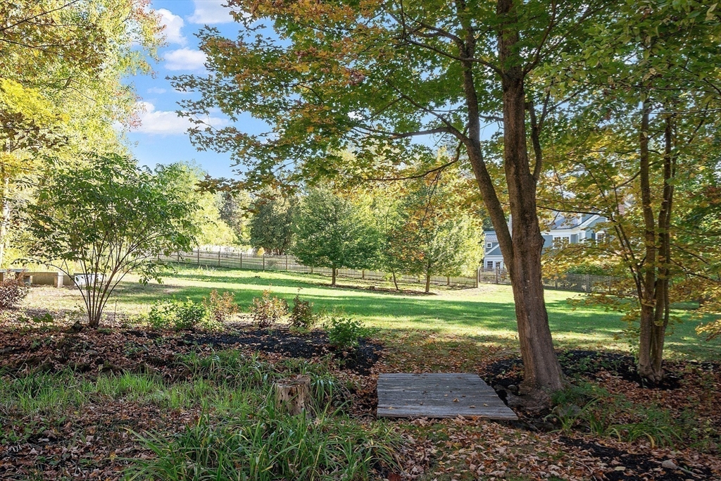 6 Gray Road Andover, MA 01810 - Photo 35 of 36 a view of a garden with a tree