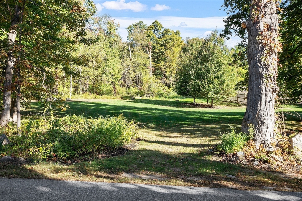 6 Gray Road Andover, MA 01810 - Photo 7 of 36 a view of a garden with a lake