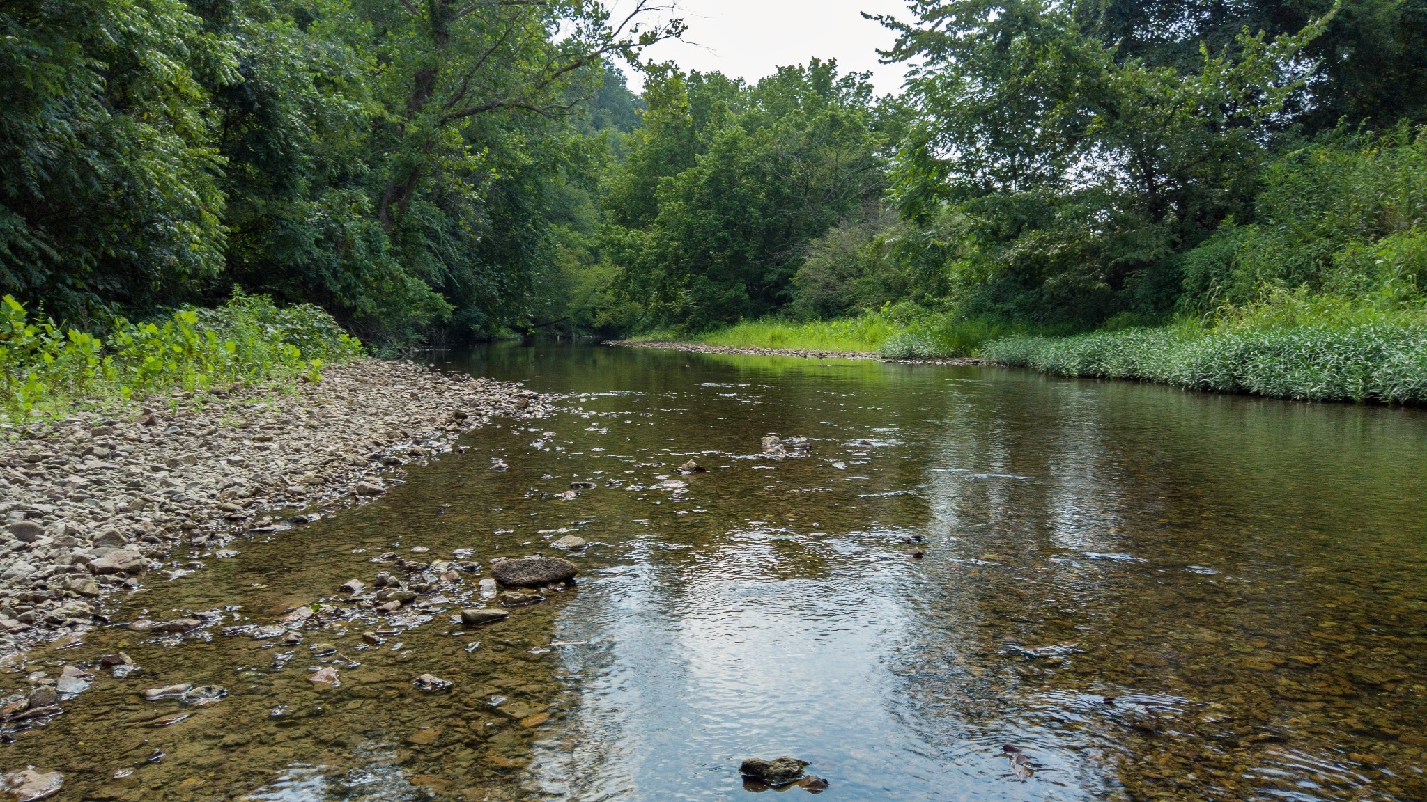 a view of a lake view with a garden