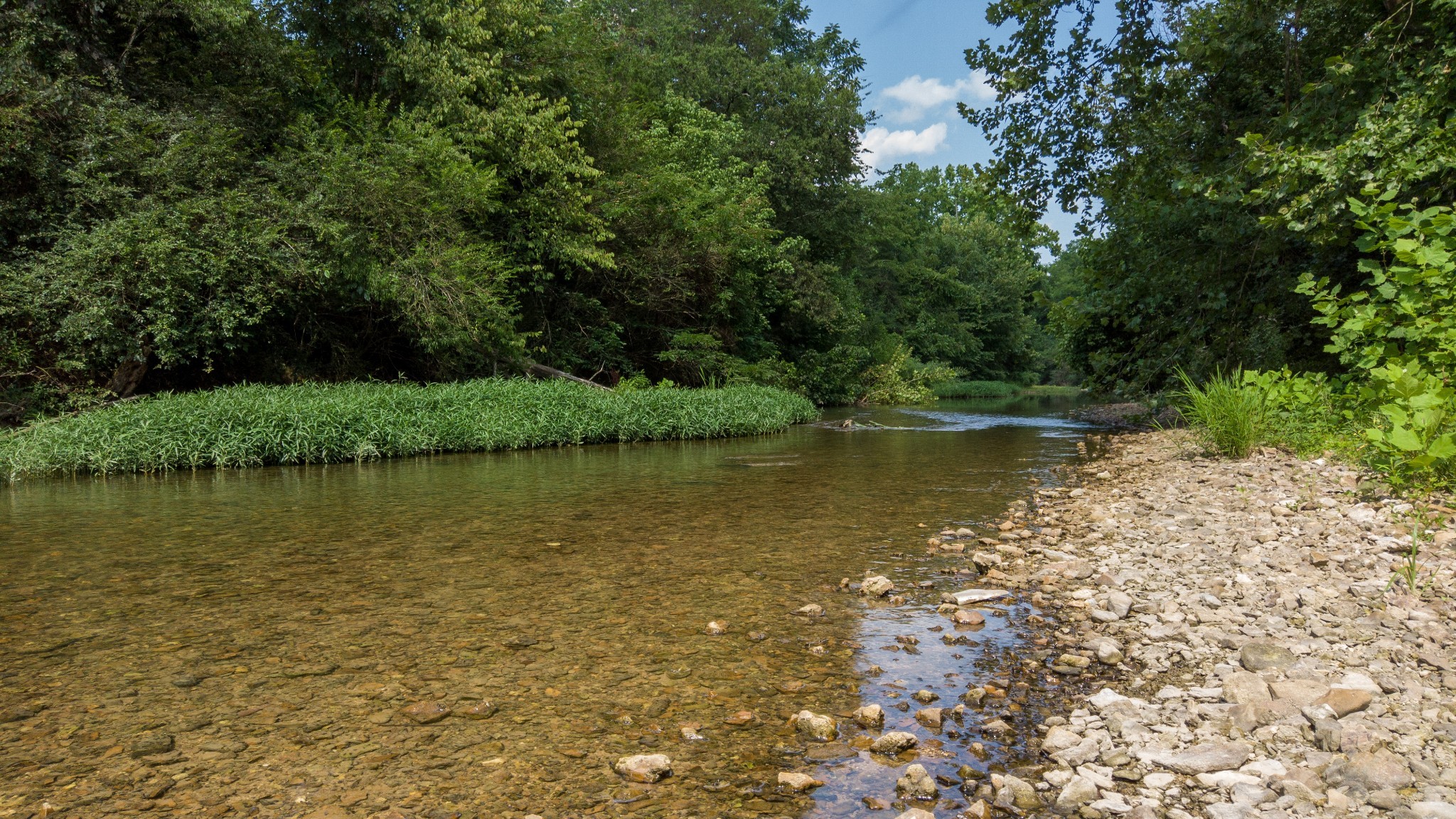 500 Shuler Branch Road Ethridge, TN 38456 - Photo 17 of 27 a view of a lake view