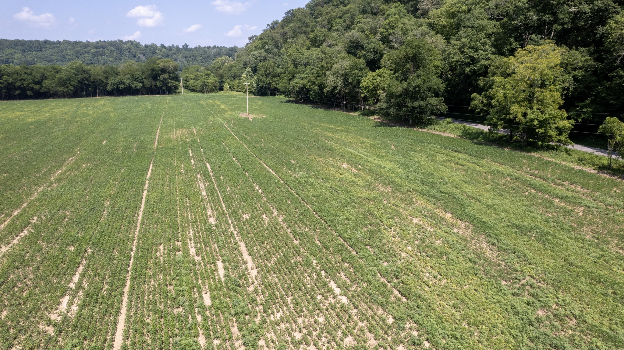 500 Shuler Branch Road Ethridge, TN 38456 - Photo 2 of 27 a backyard of a house with lots of green space