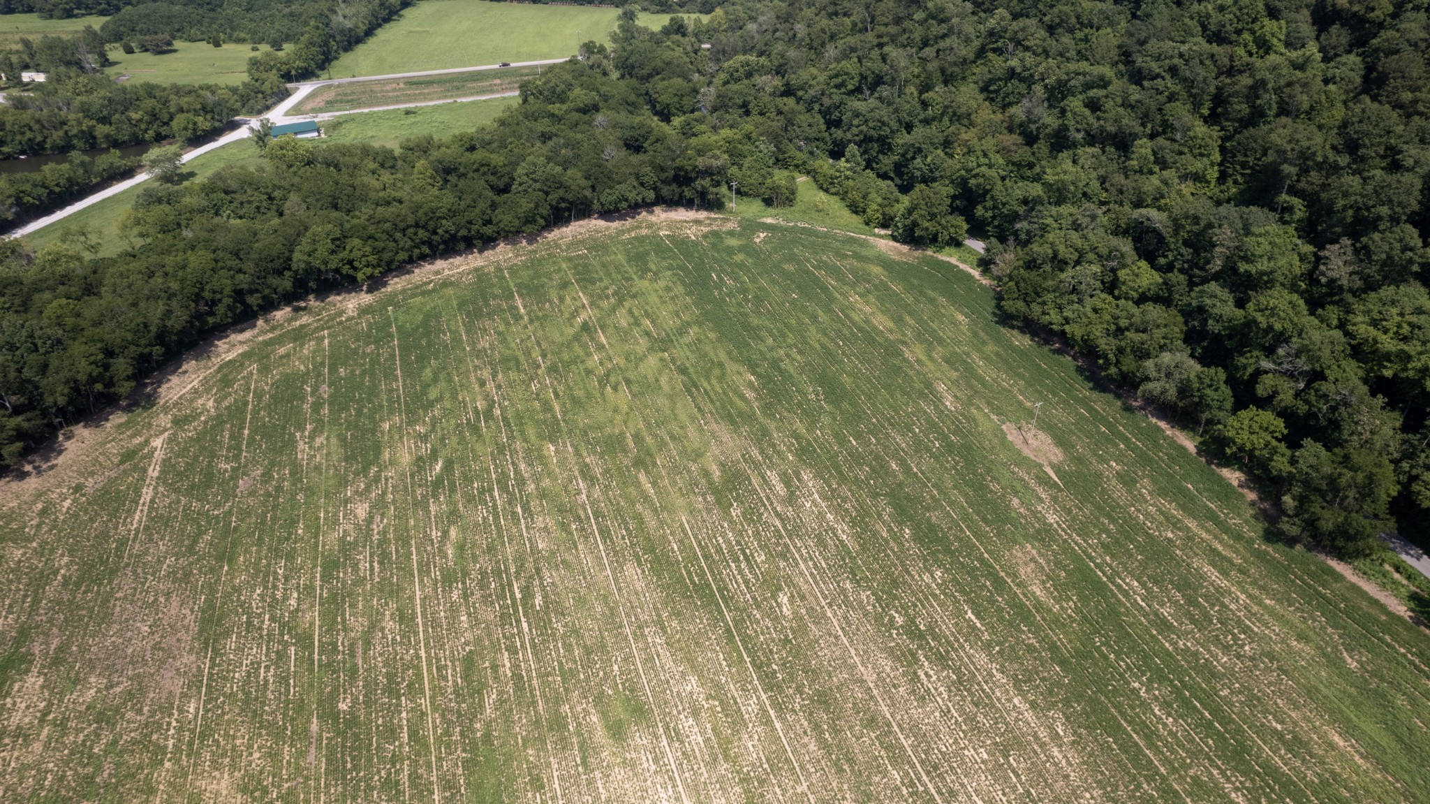 500 Shuler Branch Road Ethridge, TN 38456 - Photo 7 of 27 a view of a garden with a pathway