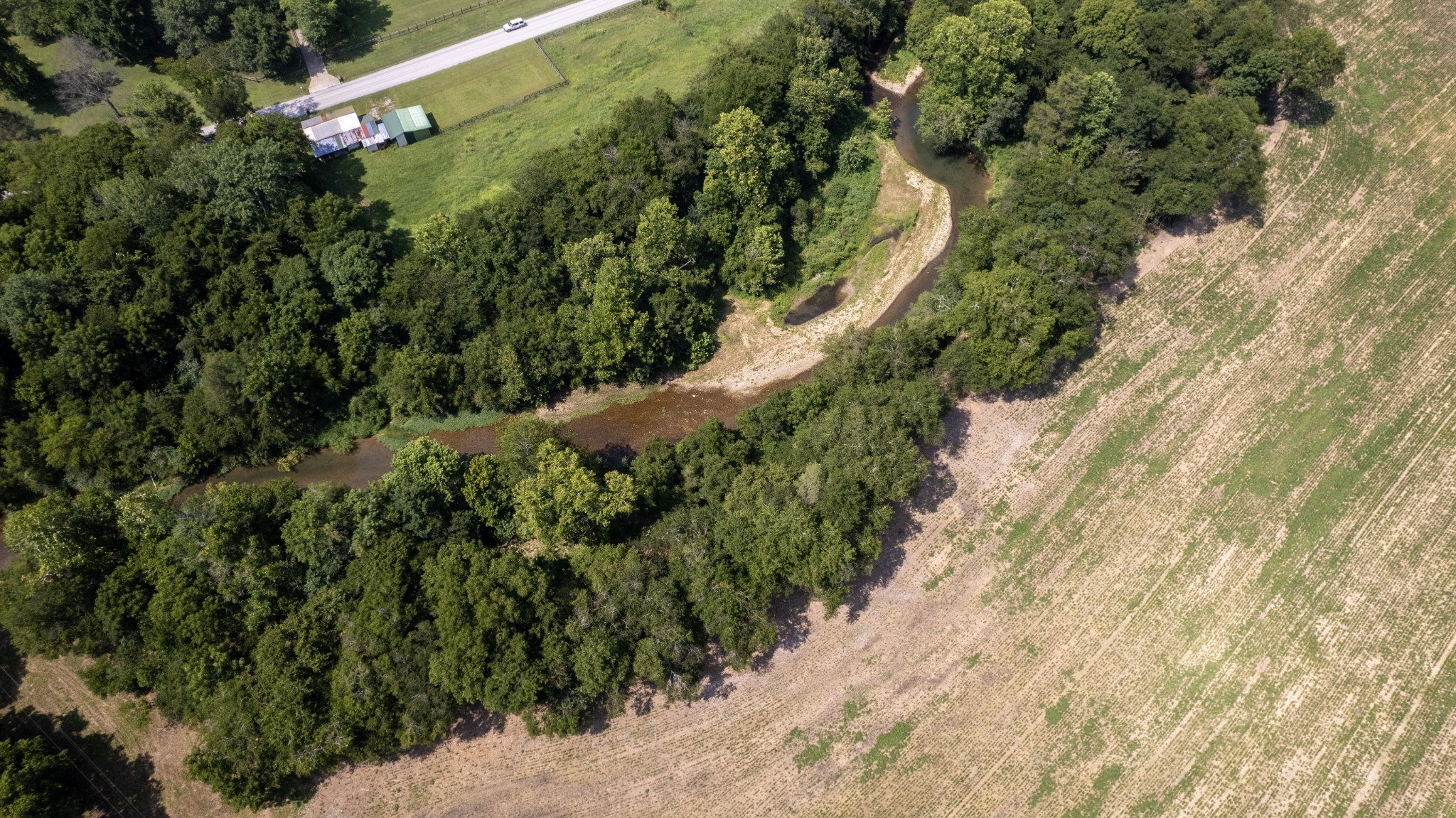 500 Shuler Branch Road Ethridge, TN 38456 - Photo 8 of 27 a view of a yard with plants and large trees