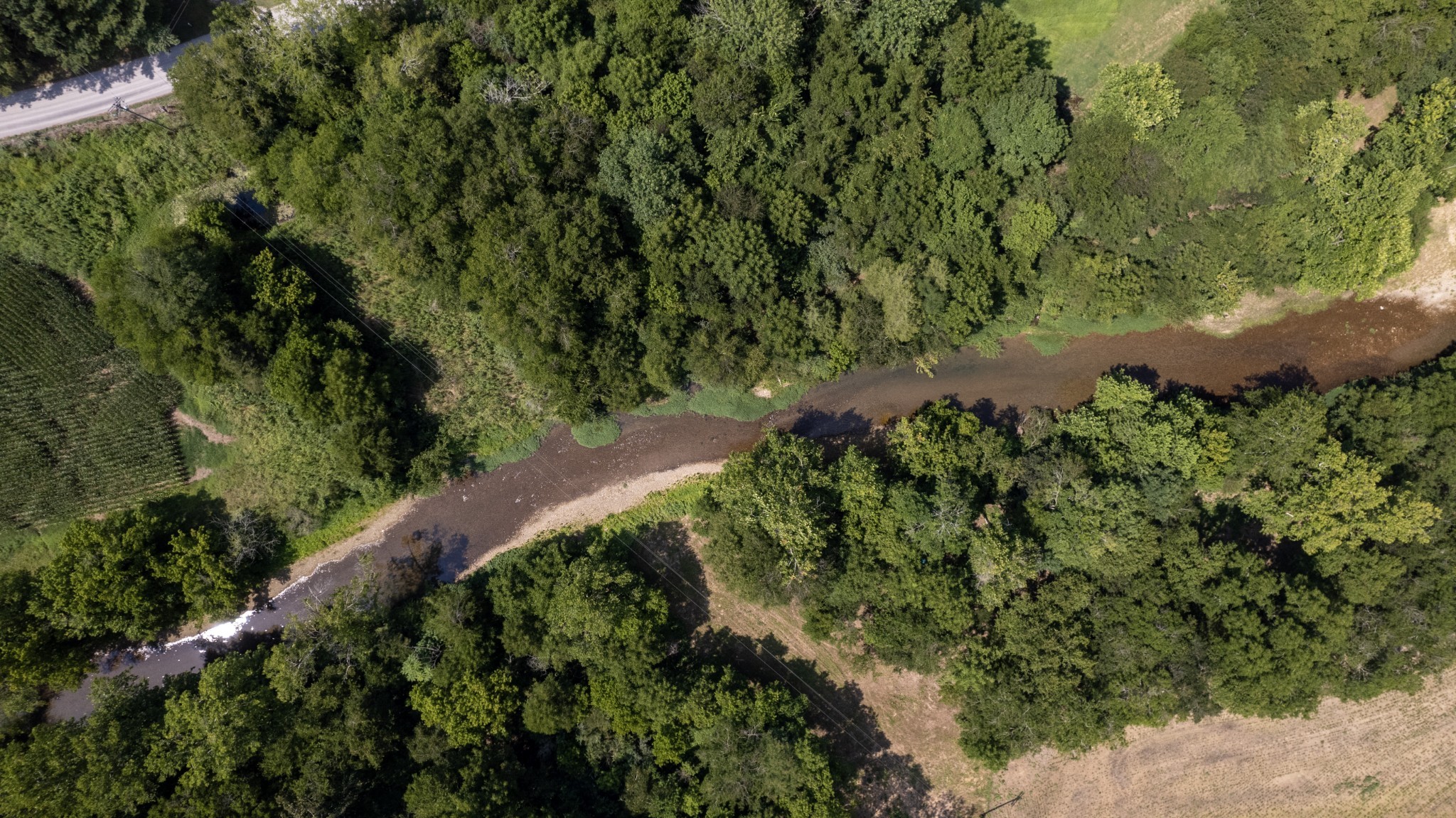 500 Shuler Branch Road Ethridge, TN 38456 - Photo 9 of 27 a view of a garden with a tree