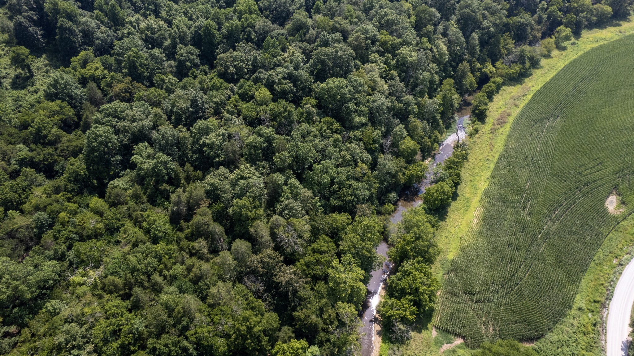 500 Shuler Branch Road Ethridge, TN 38456 - Photo 10 of 27 an aerial view of a residential houses with outdoor space and trees