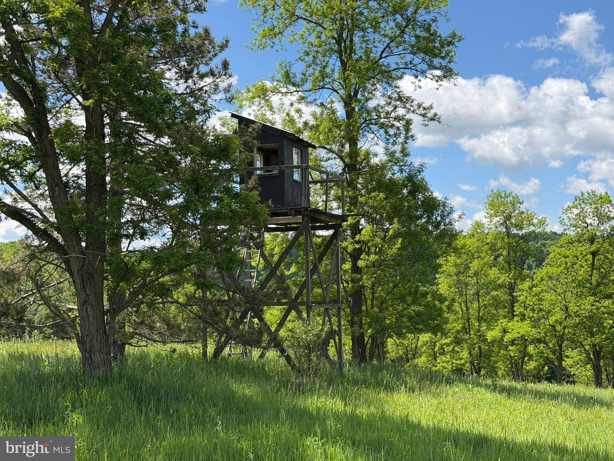 848 Sugar Camp Road Clearfield, PA 16830 - Photo 67 of 118