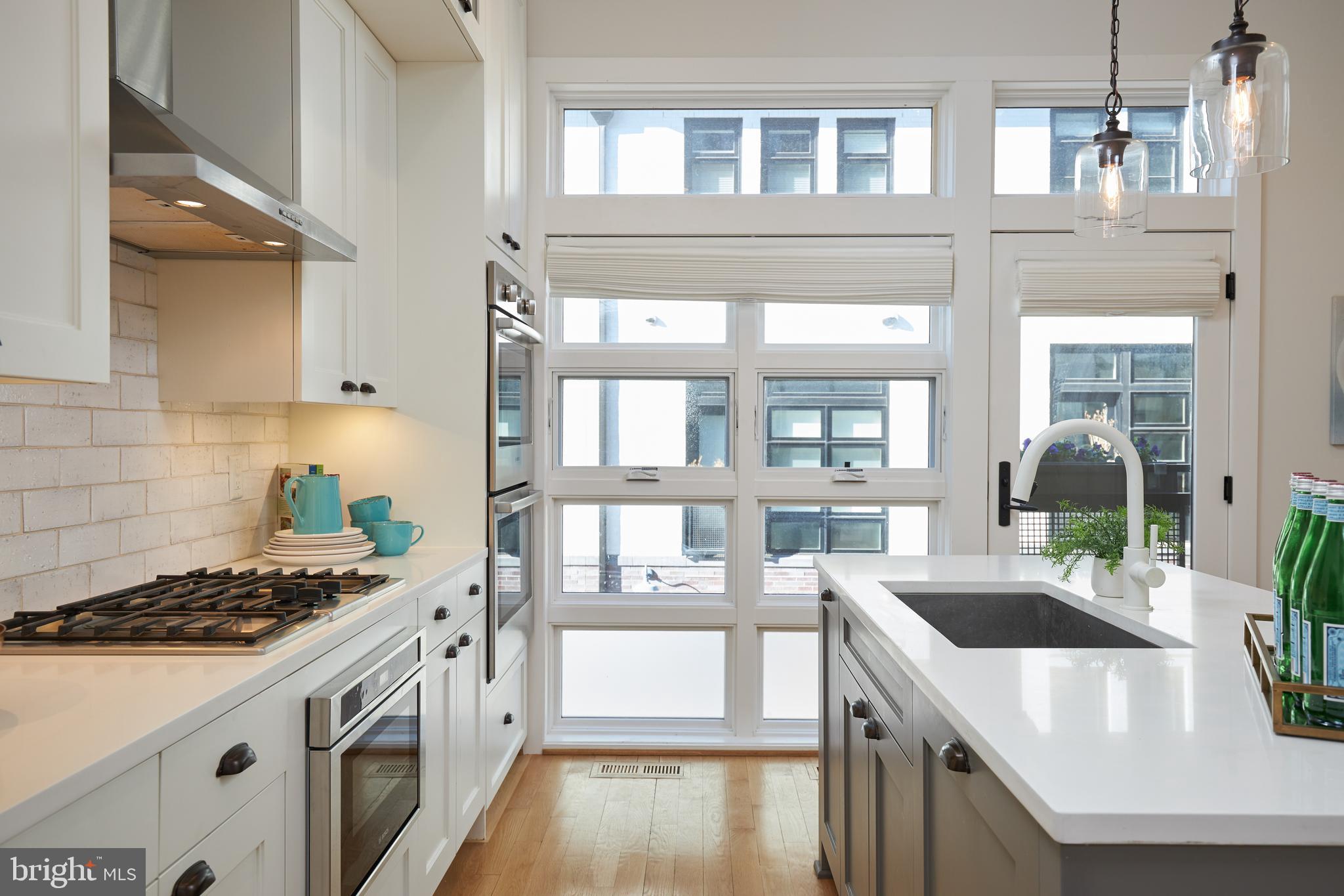 419 Guethler's Way Washington, DC 20003 - Photo 7 of 59 Gourmet Kitchen, Modern meets Classic Design