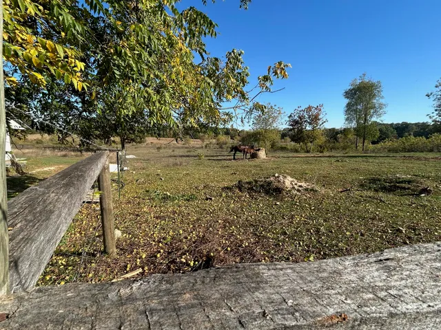 $180,000 | 7982 West Remus Road, Remus, MI 49340