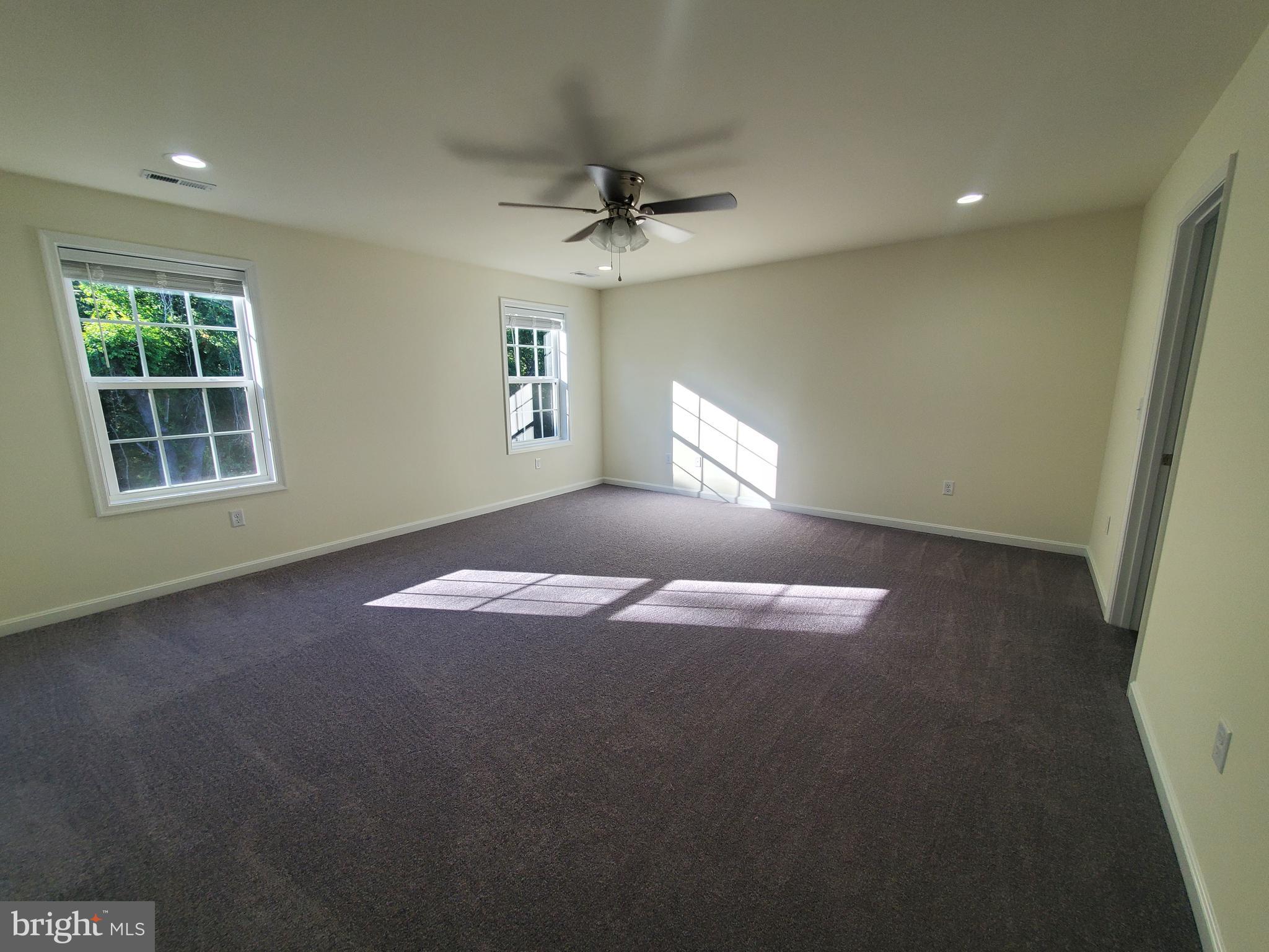205 Cilento Drive Magnolia, DE 19962 - Photo 13 of 46 en empty room with windows and ceiling fan