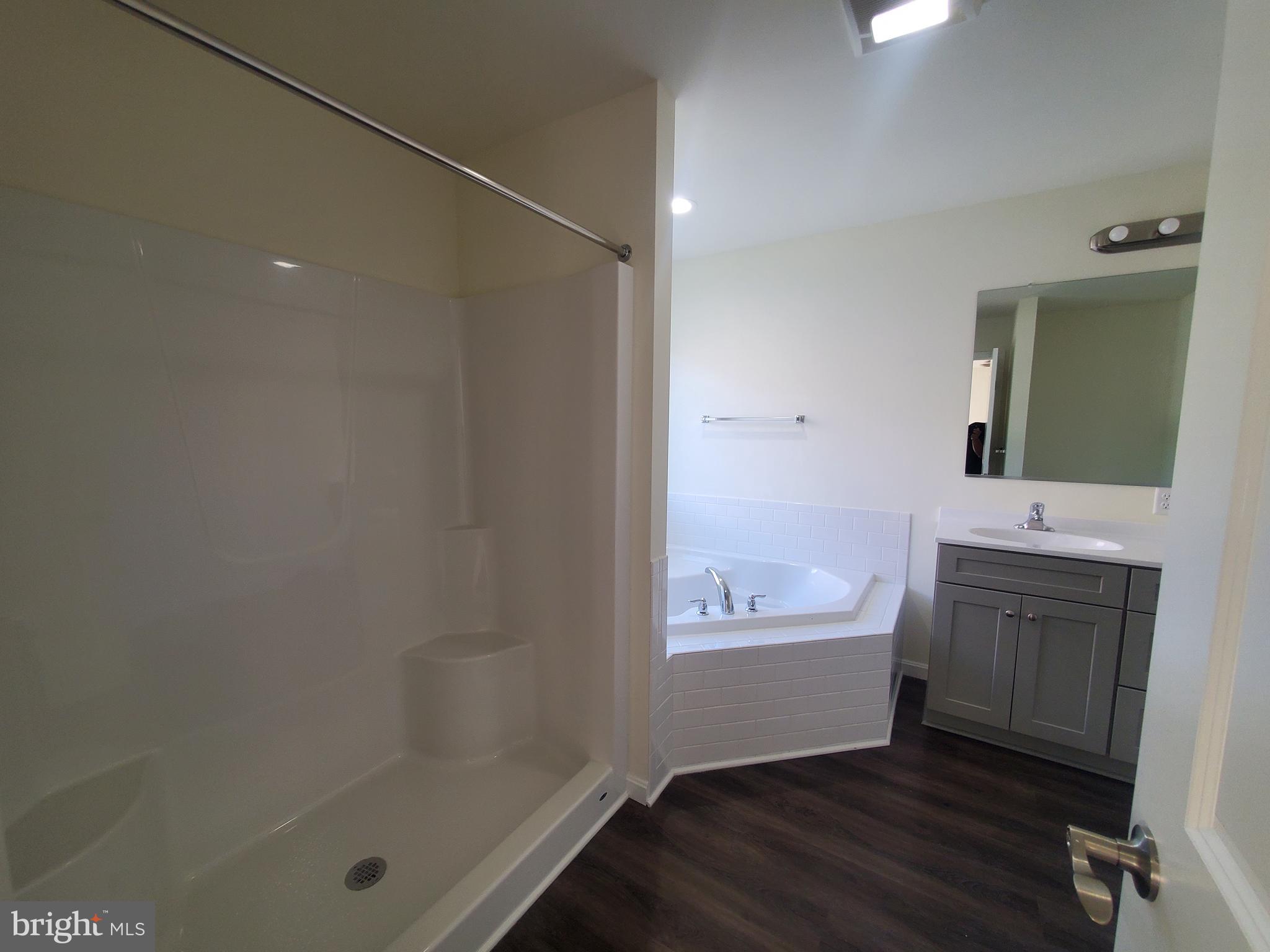 205 Cilento Drive Magnolia, DE 19962 - Photo 15 of 46 a bathroom with a sink and a mirror