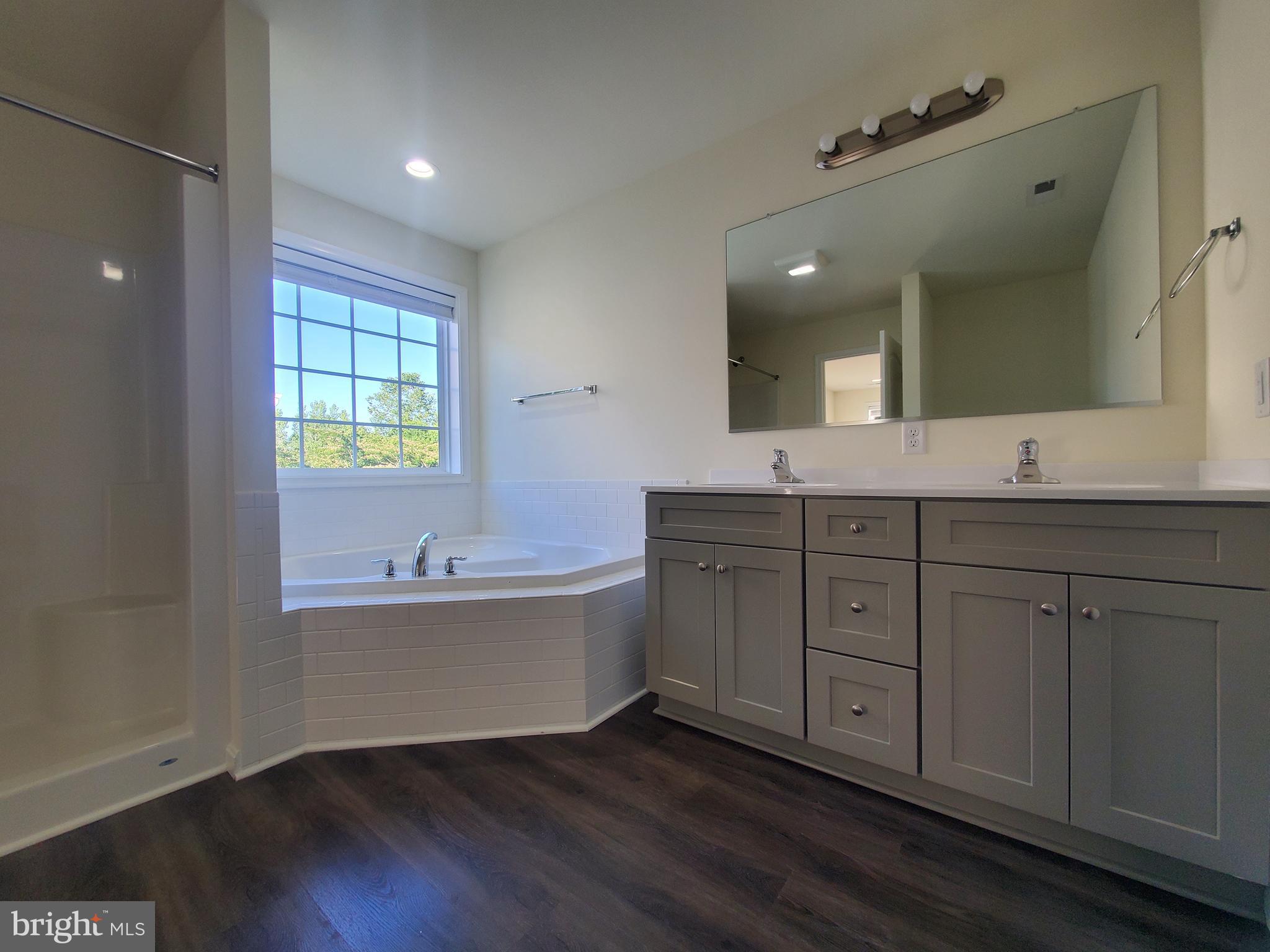 205 Cilento Drive Magnolia, DE 19962 - Photo 16 of 46 a bathroom with a granite countertop sink mirror and bathtub