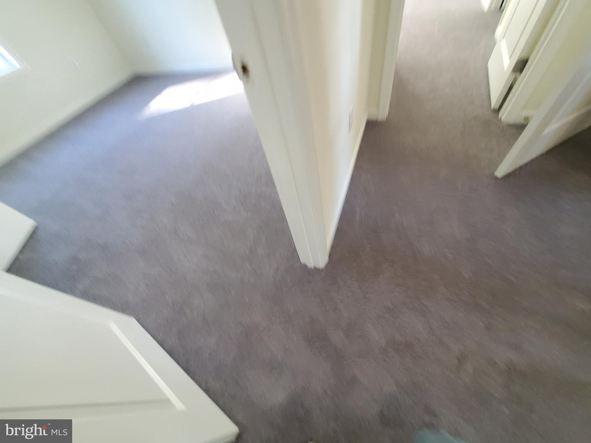 205 Cilento Drive Magnolia, DE 19962 - Photo 31 of 46 a view of a hallway with staircase