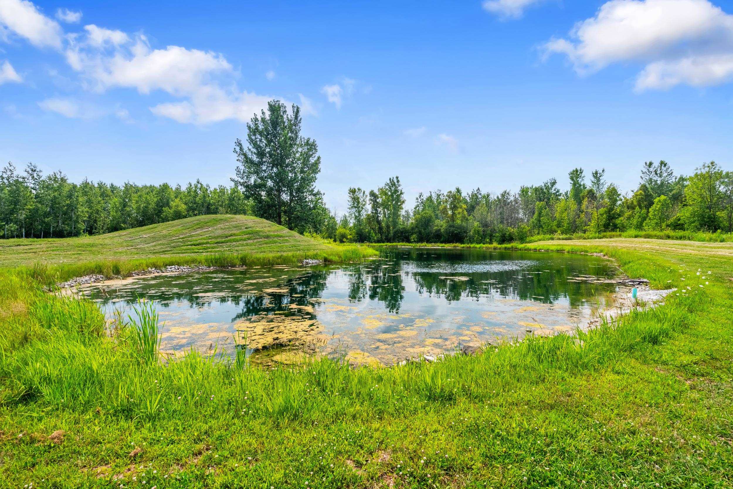State Road Black Creek, WI 54106 - Photo 11 of 30