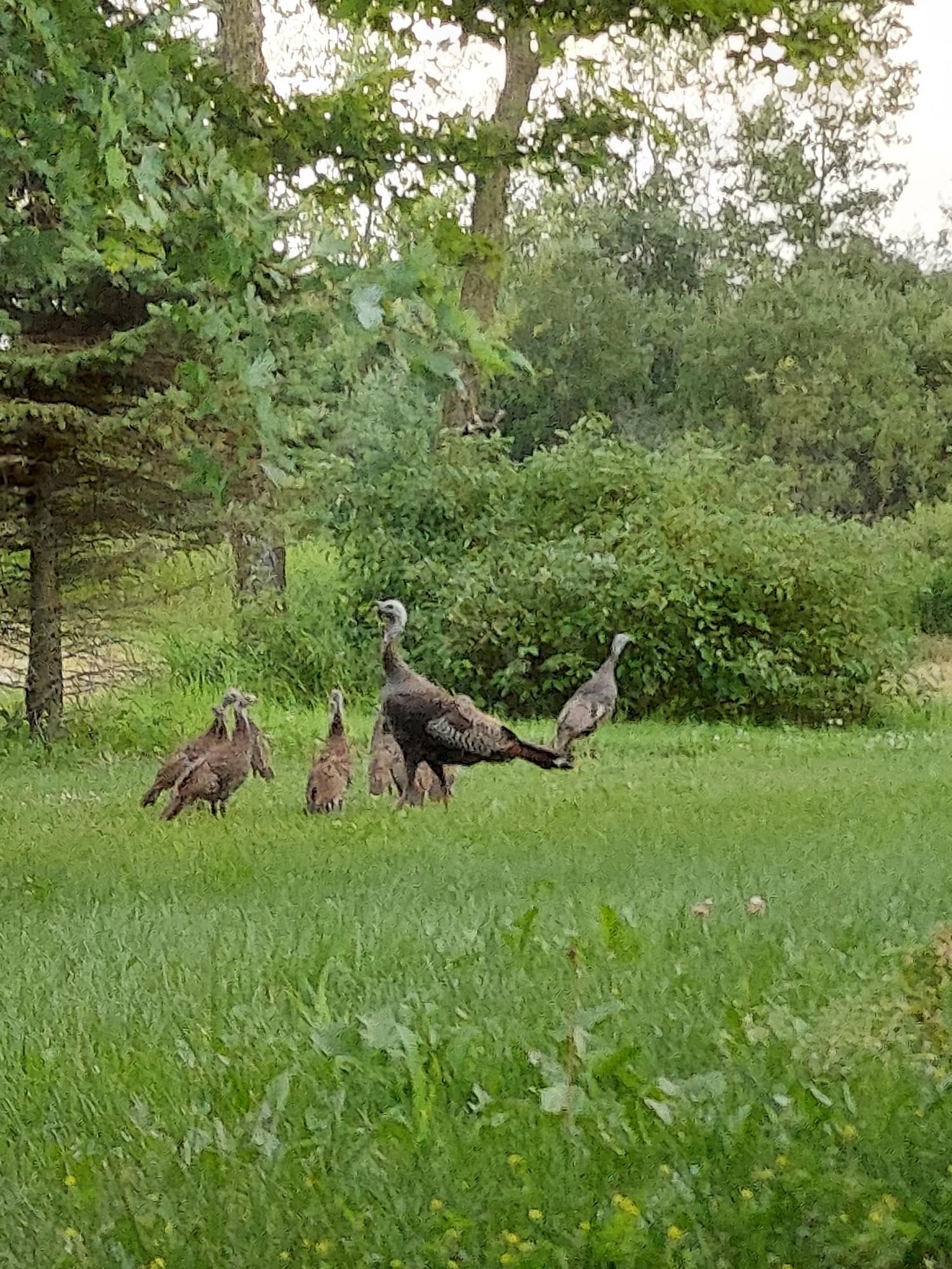 State Road Black Creek, WI 54106 - Photo 29 of 30