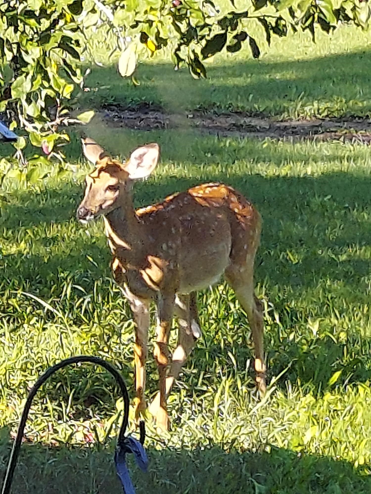 State Road Black Creek, WI 54106 - Photo 30 of 30