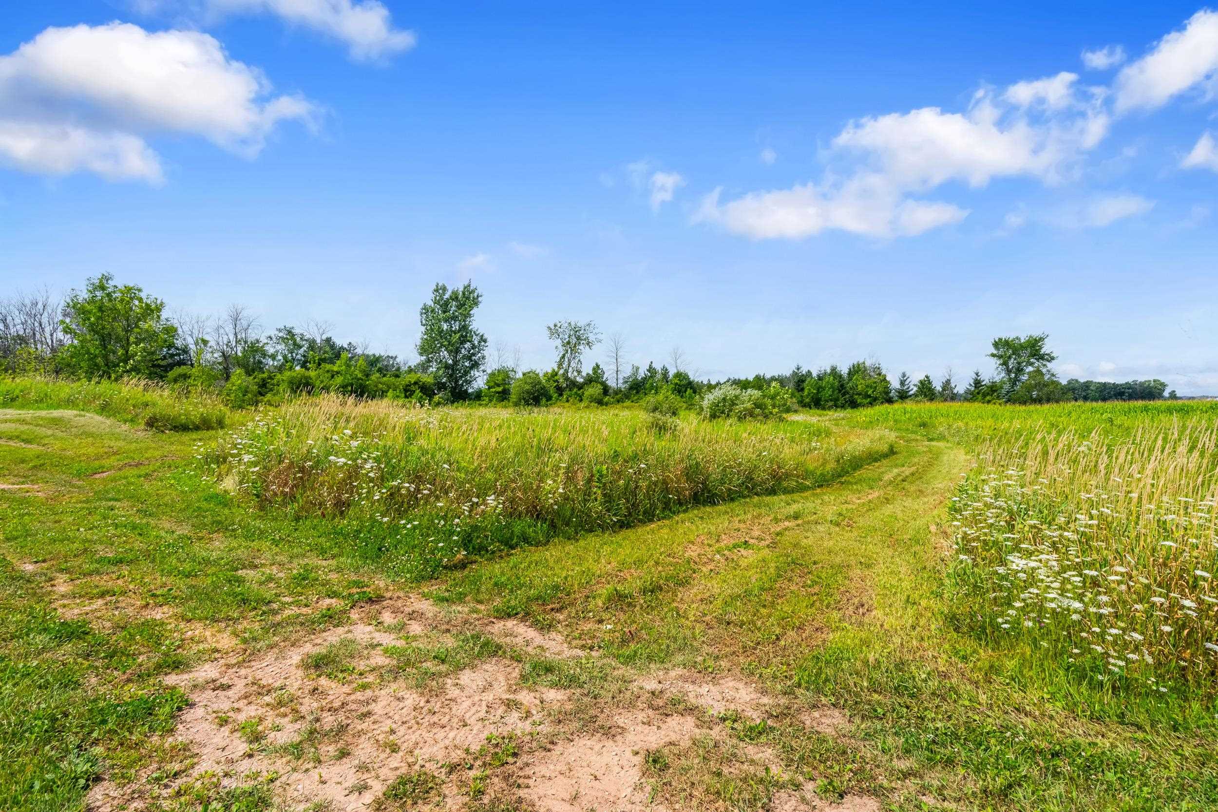 State Road Black Creek, WI 54106 - Photo 6 of 30