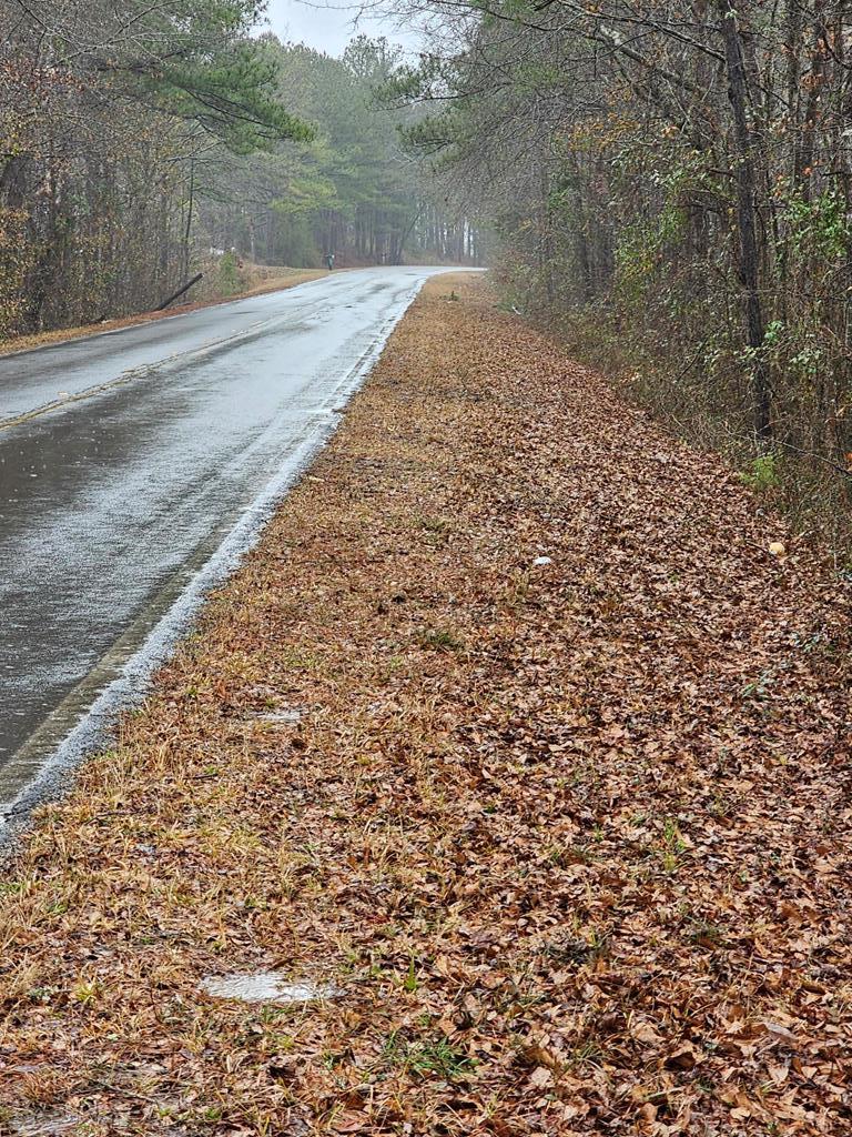 0 Buckner Road Junction City, GA 31812 - Photo 5 of 14 Gallery Image 5