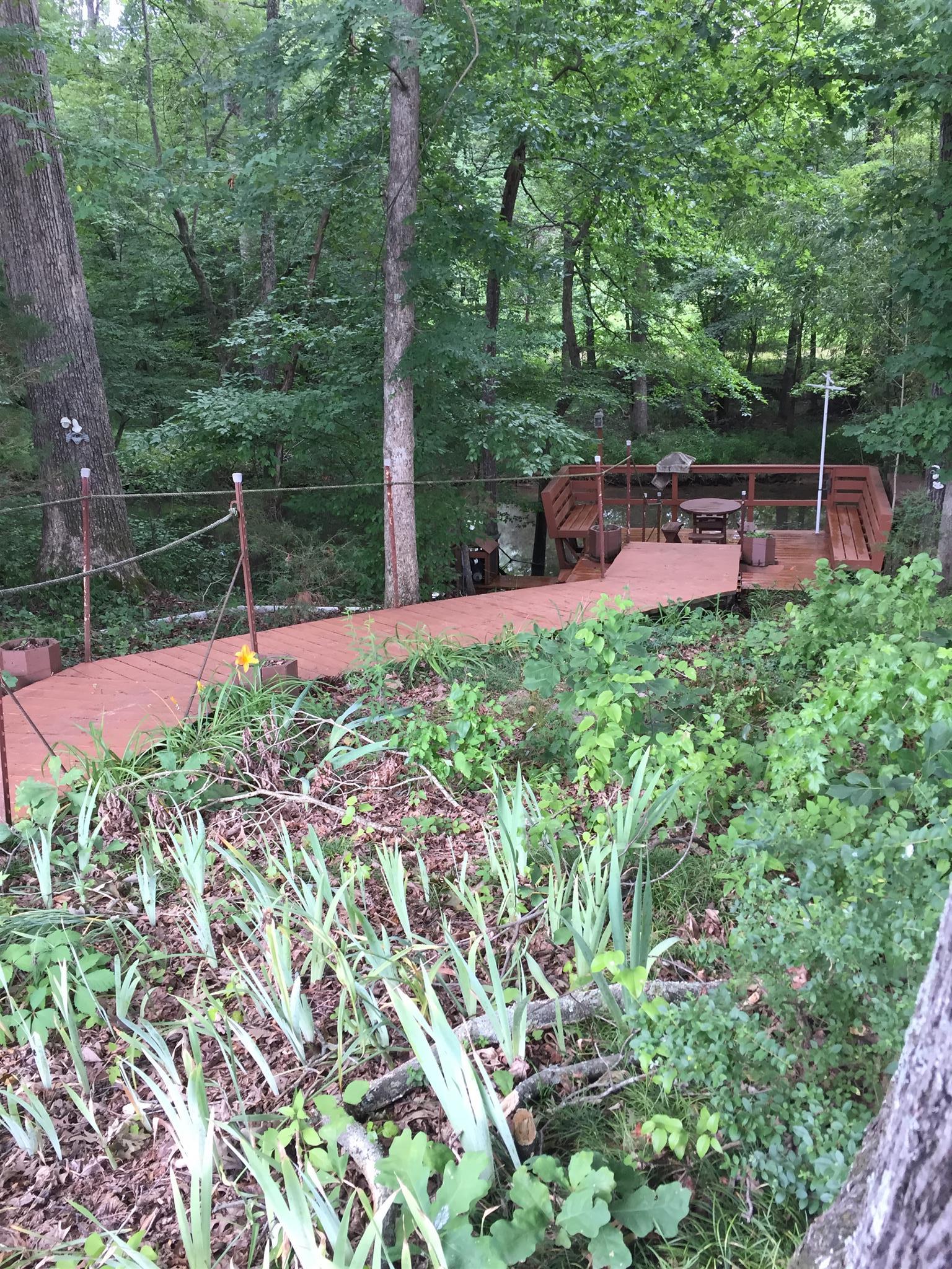 349 Duck River Road Manchester, TN 37355 - Photo 12 of 18 a backyard of a house with lots of green space