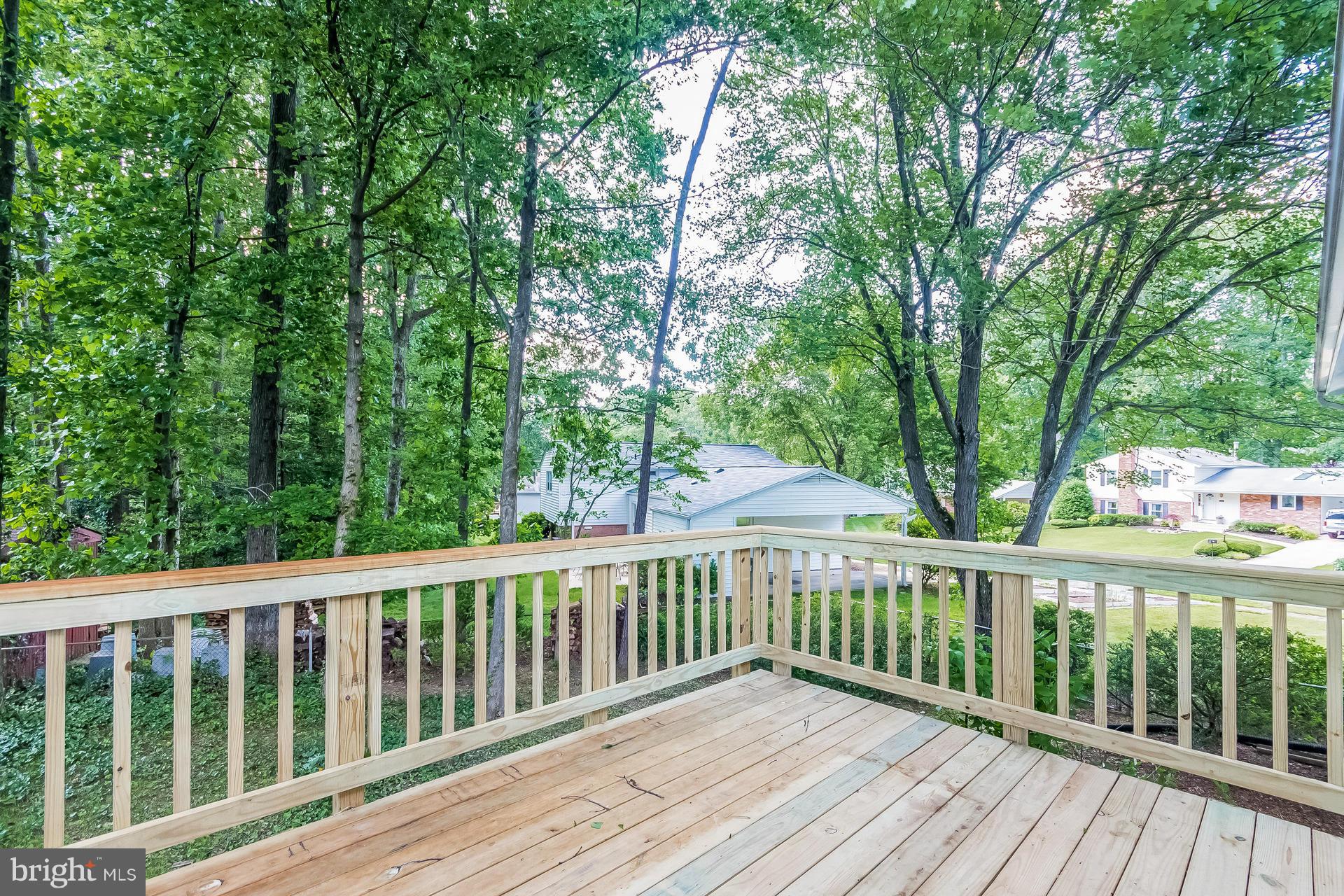 6524 Greenview Lane Springfield, VA 22152 - Photo 26 of 28 Exterior (Rear)