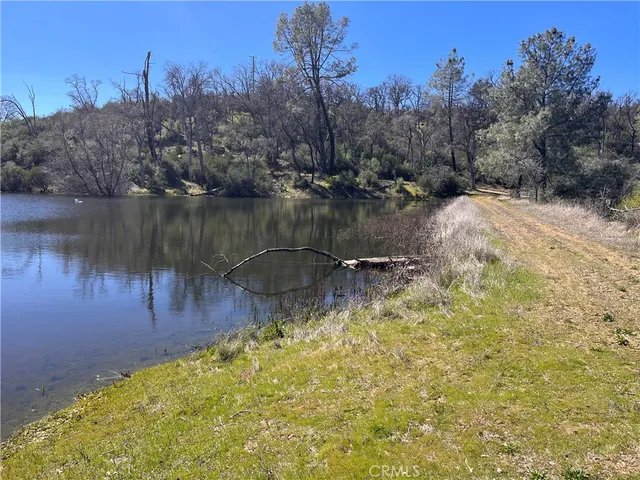 a view of a lake from a yard